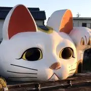 キナコの画像