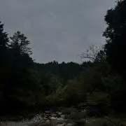 こう