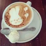 タヌタヌの画像
