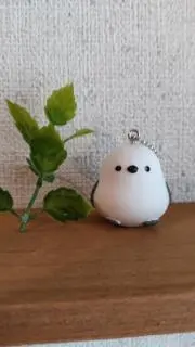 ちこちゃんの画像