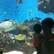 MOOちゃんの画像