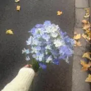 あいの画像