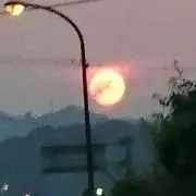 不知火秋夜の画像