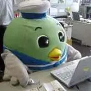 させ子の画像