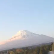 Dangoの画像