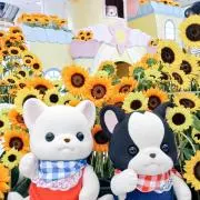 キャンディの画像
