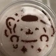 naturalの画像