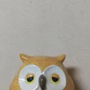 s-hの画像