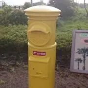ちんねんの画像