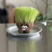 トミタの画像