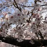 ︎（＾＿＾）♡の画像