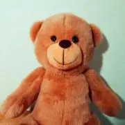 コヤタGの画像