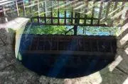 希望価格お気軽に☆本好き猫家※プロフ読願の画像