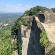 よへどんの画像