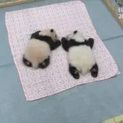 yumの画像
