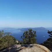 ヤキトリ
