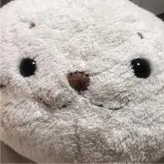 み