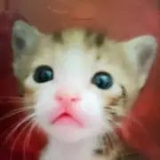 れみ