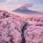 Super 777の画像