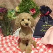 なーの画像