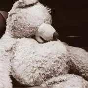 くまのぬいぐるみの画像
