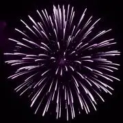 ネネコの画像