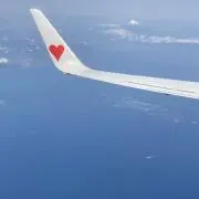 Image of ゆーちゃ