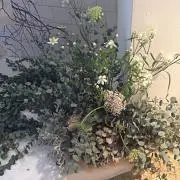 soa..の画像