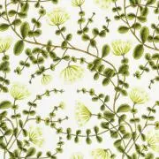 momoの画像
