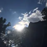 薫々　くんくん