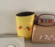 中本智