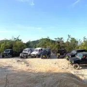 まこまこ