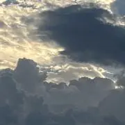 おいもまつりの画像