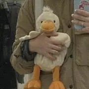 トトの画像