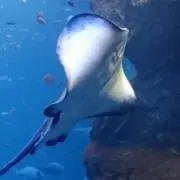 ママの画像