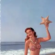 minamikaze_vintageの画像