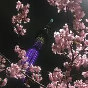 鈴(・´ ｀(●)