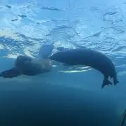 0816の画像
