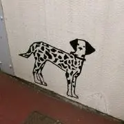 satoの画像