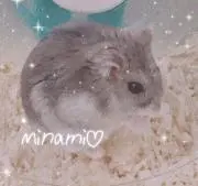 Minamiの画像