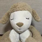 loppu☺︎の画像