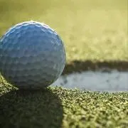 こよあかだの画像