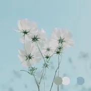 桜華の画像