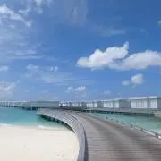コロさんの画像
