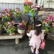 miyumama