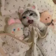 にゃん。の画像