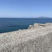 tsの画像