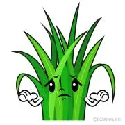 ささの画像