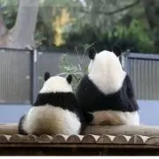 リサイクル資材で梱包の画像