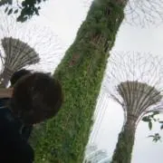 りの画像